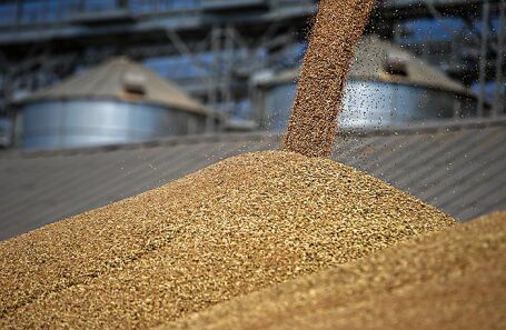 В Европе оптовые цены на пшеницу уже месяц держатся на уровне 400 евро за тонну